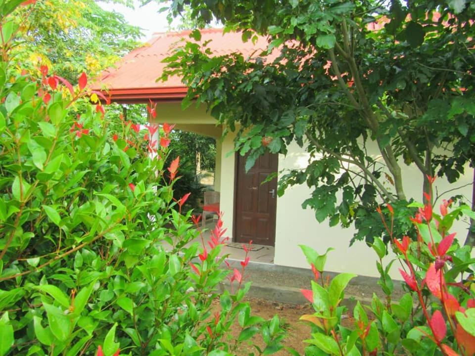 Hotel Tree Garden Wilpaththu Nochchiyagma Anuradhapura Nochchiyagama المظهر الخارجي الصورة