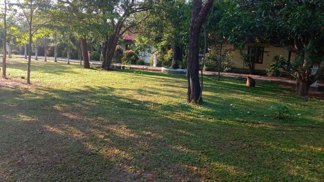Hotel Tree Garden Wilpaththu Nochchiyagma Anuradhapura Nochchiyagama المظهر الخارجي الصورة