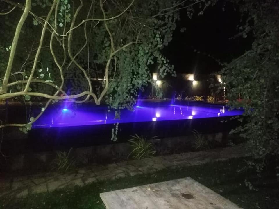 Hotel Tree Garden Wilpaththu Nochchiyagma Anuradhapura Nochchiyagama المظهر الخارجي الصورة