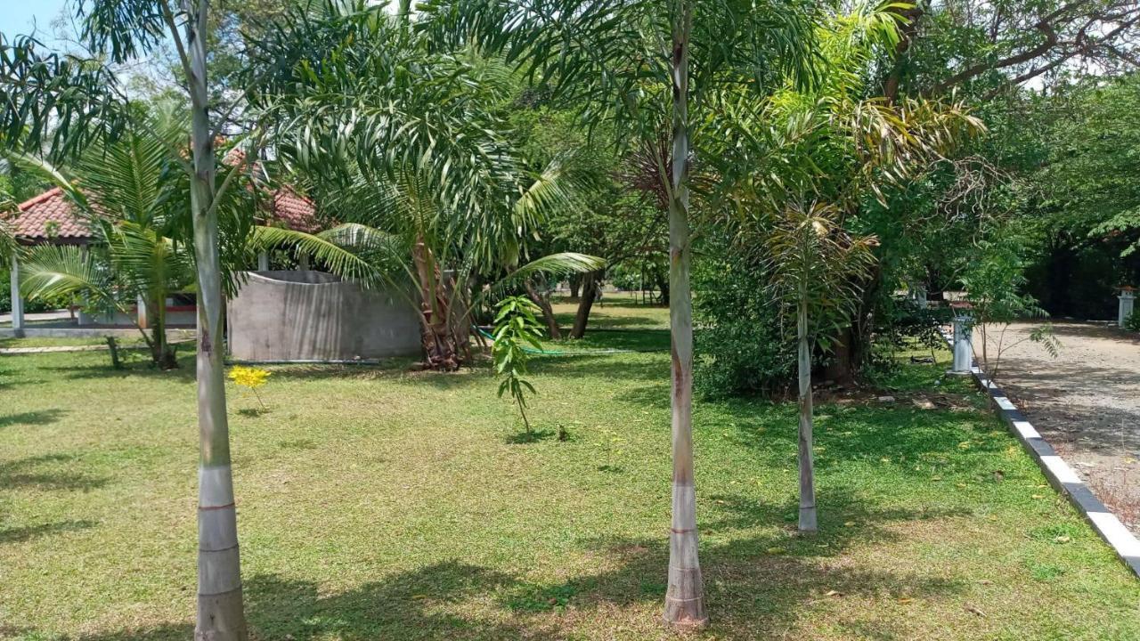 Hotel Tree Garden Wilpaththu Nochchiyagma Anuradhapura Nochchiyagama المظهر الخارجي الصورة