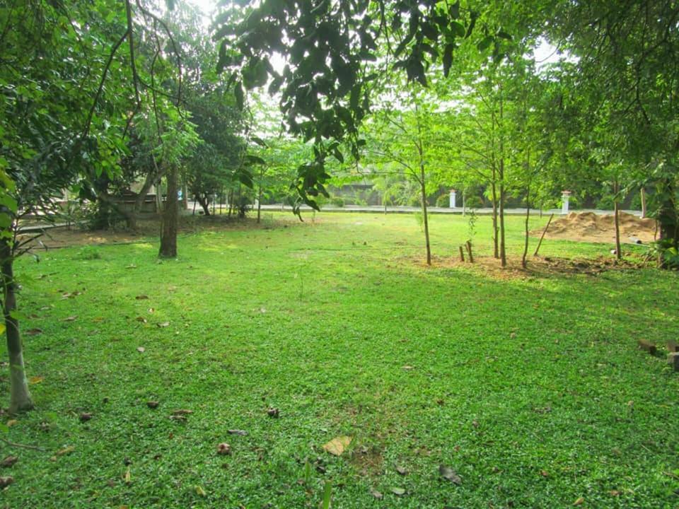Hotel Tree Garden Wilpaththu Nochchiyagma Anuradhapura Nochchiyagama المظهر الخارجي الصورة
