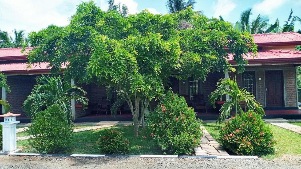 Hotel Tree Garden Wilpaththu Nochchiyagma Anuradhapura Nochchiyagama المظهر الخارجي الصورة