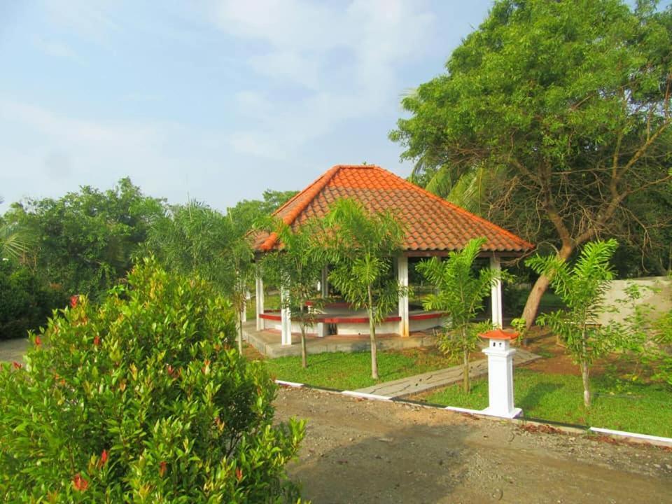 Hotel Tree Garden Wilpaththu Nochchiyagma Anuradhapura Nochchiyagama المظهر الخارجي الصورة