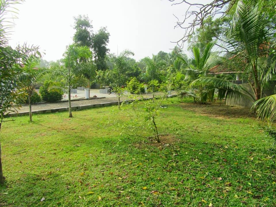 Hotel Tree Garden Wilpaththu Nochchiyagma Anuradhapura Nochchiyagama المظهر الخارجي الصورة