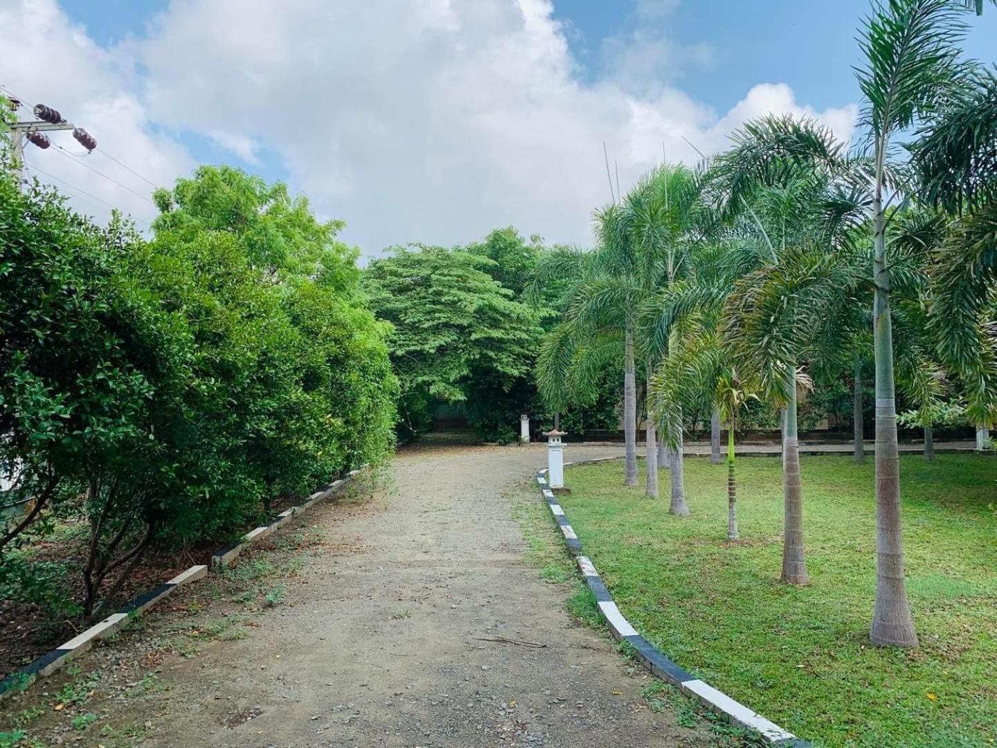 Hotel Tree Garden Wilpaththu Nochchiyagma Anuradhapura Nochchiyagama المظهر الخارجي الصورة