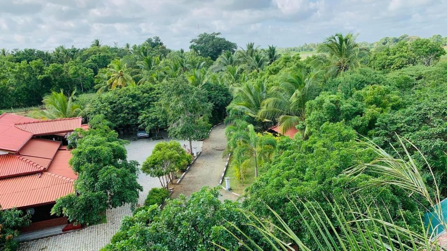 Hotel Tree Garden Wilpaththu Nochchiyagma Anuradhapura Nochchiyagama المظهر الخارجي الصورة