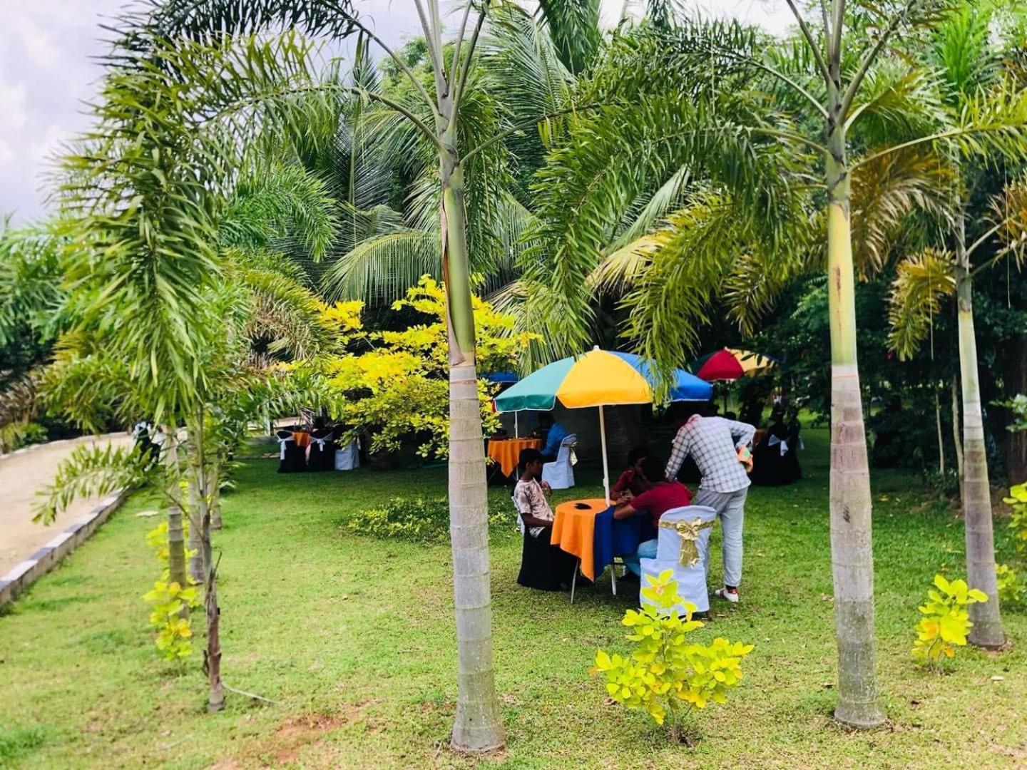 Hotel Tree Garden Wilpaththu Nochchiyagma Anuradhapura Nochchiyagama المظهر الخارجي الصورة