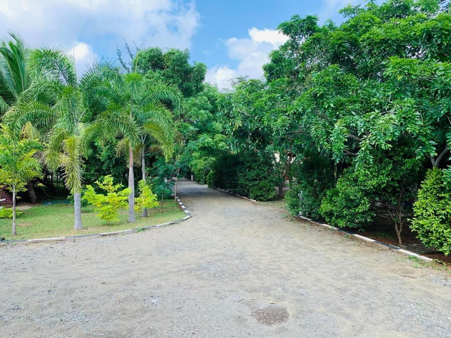Hotel Tree Garden Wilpaththu Nochchiyagma Anuradhapura Nochchiyagama المظهر الخارجي الصورة