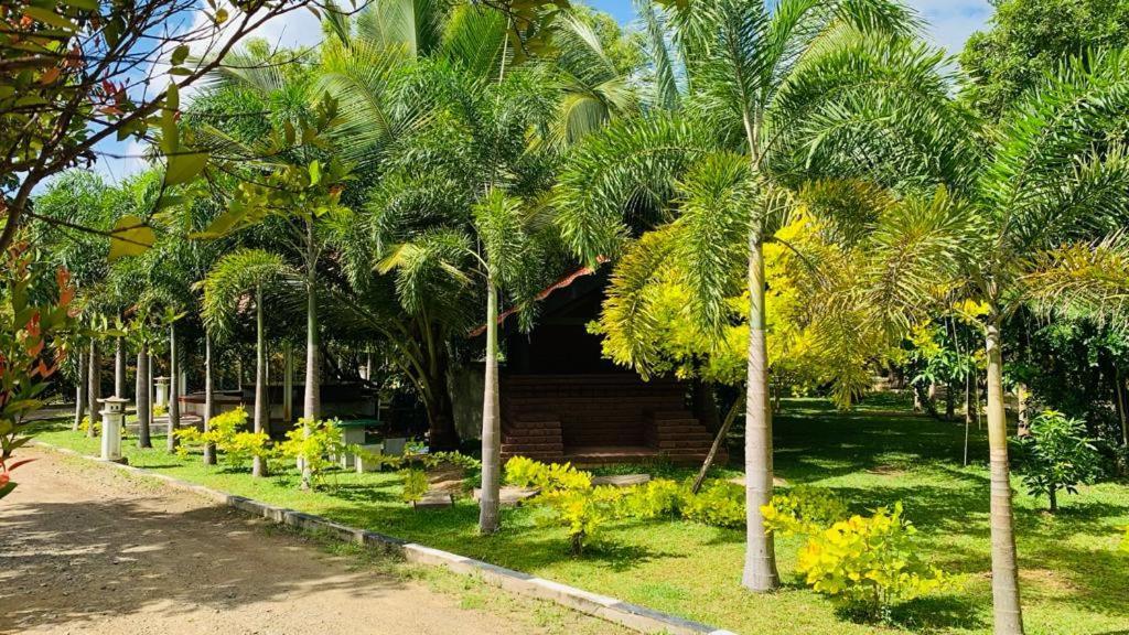 Hotel Tree Garden Wilpaththu Nochchiyagma Anuradhapura Nochchiyagama المظهر الخارجي الصورة