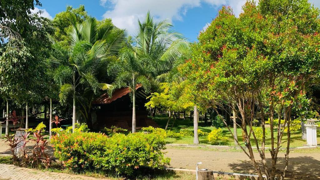 Hotel Tree Garden Wilpaththu Nochchiyagma Anuradhapura Nochchiyagama المظهر الخارجي الصورة